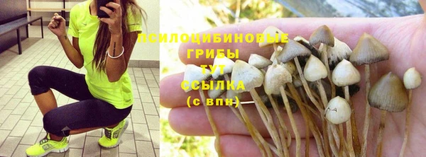 jwh Алзамай