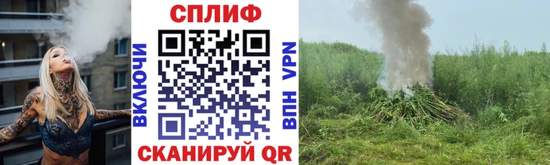 закладка  Александровское  Бошки Шишки план 